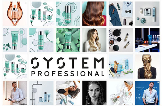 System Professional