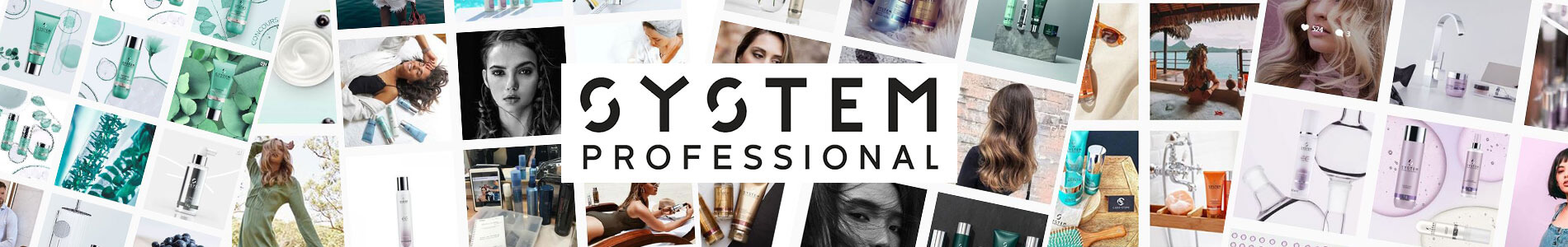 System Professional