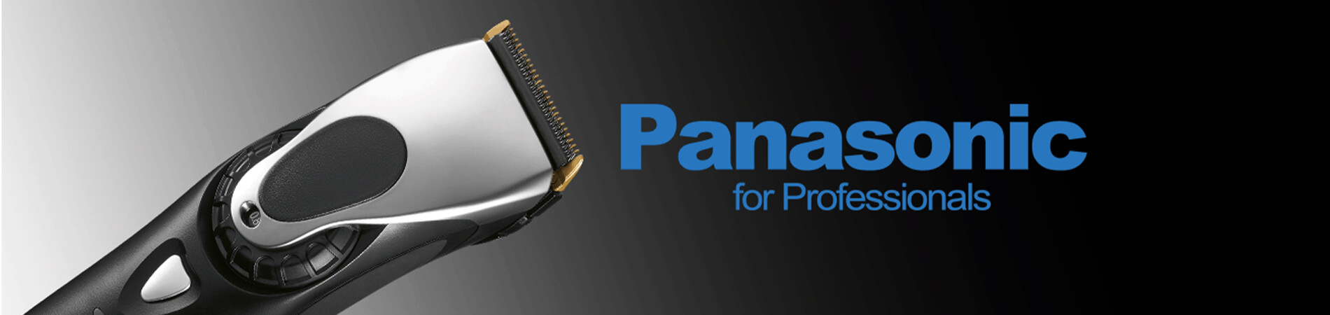 Panasonic