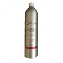 Glanz- und Farb-Shampoo