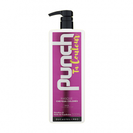 Maske Punch Ta Couleur Ducastel Pro 500ml