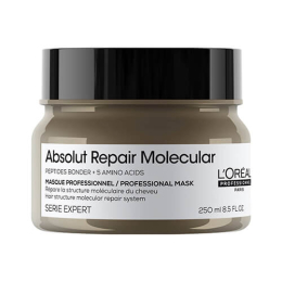 Absolut Repair Molecular L'Oréal Pro Repair-Maske 250ml