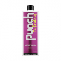 Shampoo Punch Ta Couleur Ducastel Pro 500ml