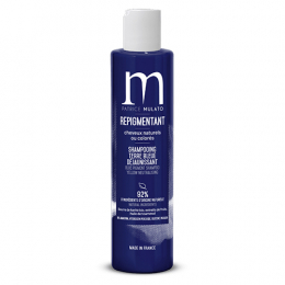 Terre Bleue Repigmentierendes Shampoo 200 ml