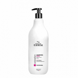 Professionelles Farb-Shampoo 1L