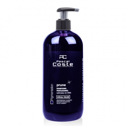 Pflaume Highlight Shampoo 500 ml