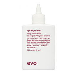 Springsclean Deepclean Spülung Curl EVO
